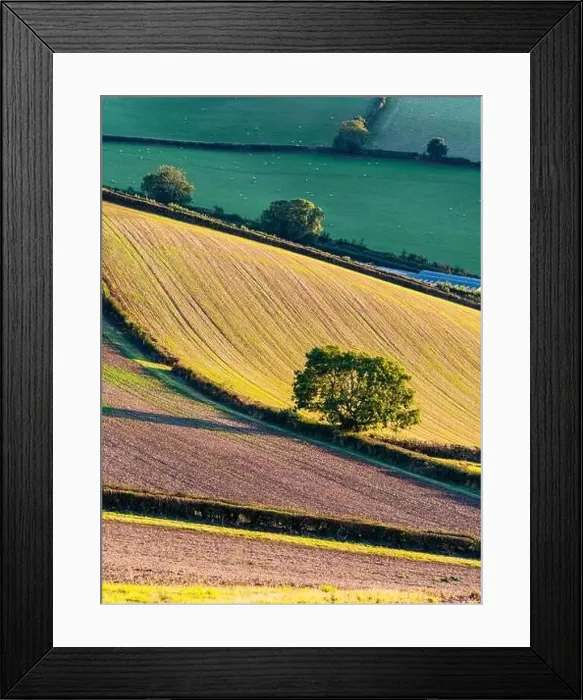 Framed Print : Fields and Farms over Devon, England, Europe Framed Print : Fields and Farms over Devon, England, Europe