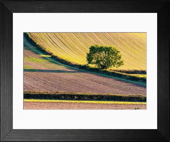 Framed Print : Fields and Farms over Devon, England, Europe Framed Print : Fields and Farms over Devon, England, Europe