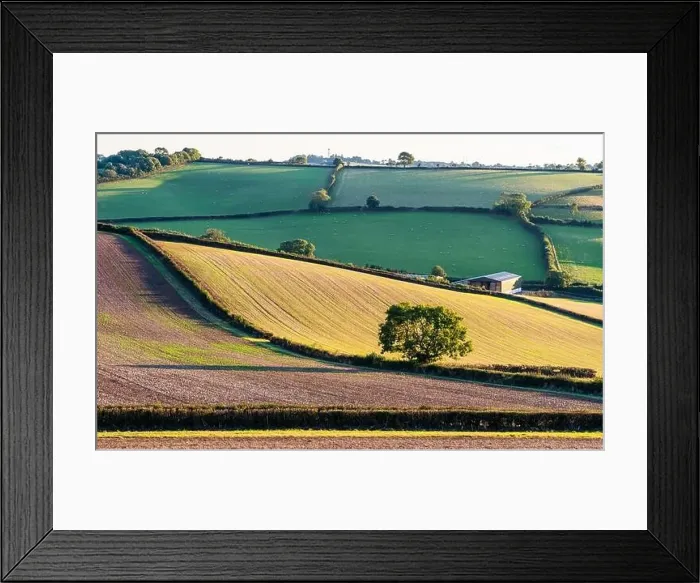Framed Print : Fields and Farms over Devon, England, Europe Framed Print : Fields and Farms over Devon, England, Europe