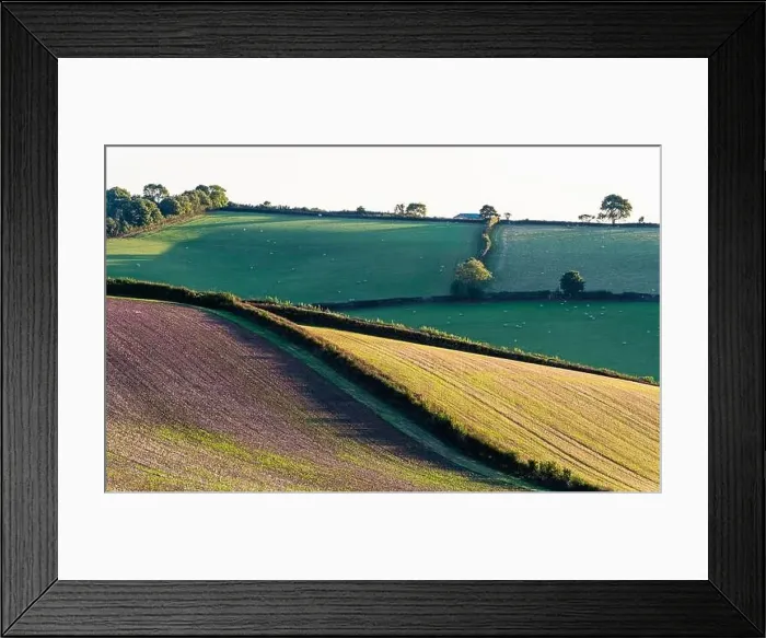 Framed Print : Fields and Farms over Devon, England, Europe Framed Print : Fields and Farms over Devon, England, Europe