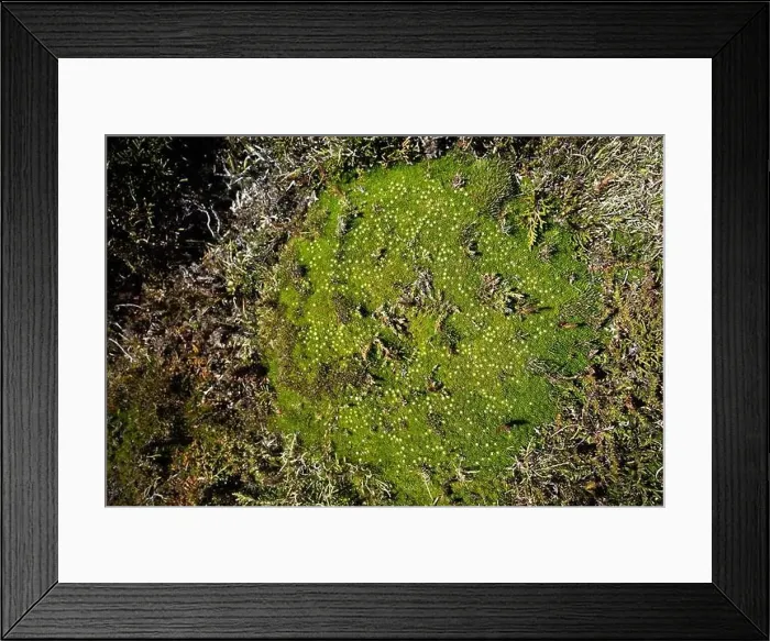 Framed Print : man hiking up a mountain with a backpack, alpine wilderness Framed Print : man hiking up a mountain with a backpack, alpine wilderness