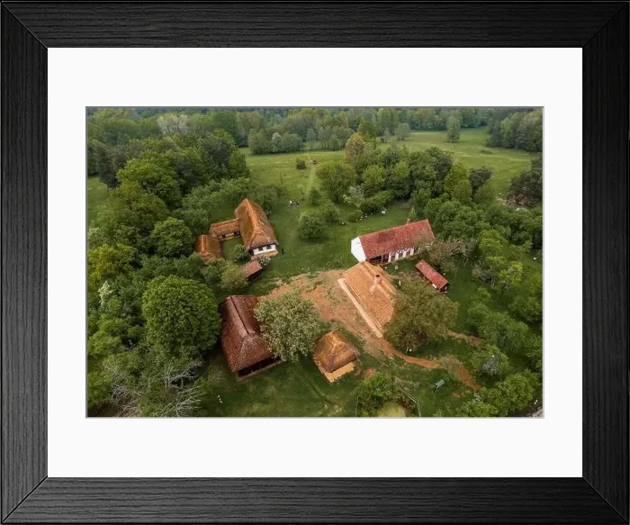 Framed Print : Orseg open air and buffalo reserve in a big national park This is the westernmost part of Hungary next to border of Framed Print : Orseg open air and buffalo reserve in a big national park This is the westernmost part of Hungary next to border of