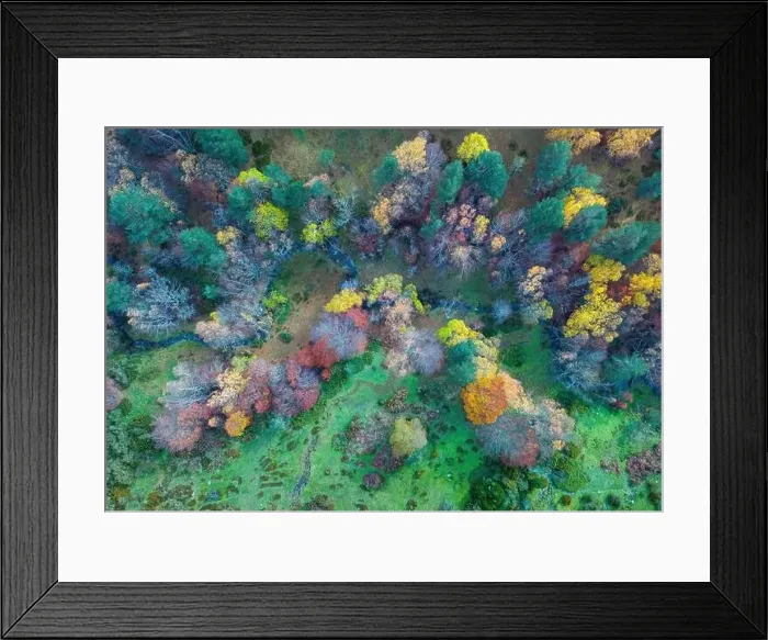 Framed Print : From above drone view of bright multicolored trees growing in autumn forest near blue river on daytime Framed Print : From above drone view of bright multicolored trees growing in autumn forest near blue river on daytime