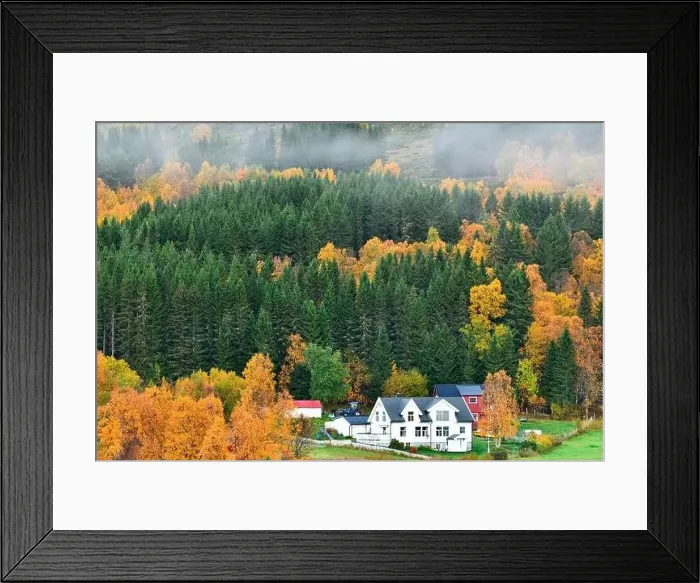 Framed Print : Drone view of village houses surrounded by colorful autumn trees and forest in Northern Norway countryside Framed Print : Drone view of village houses surrounded by colorful autumn trees and forest in Northern Norway countryside
