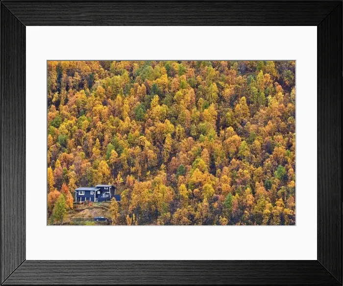 Framed Print : Drone view of picturesque landscape with lonely house located in autumn forest on hill in Northern Norway Framed Print : Drone view of picturesque landscape with lonely house located in autumn forest on hill in Northern Norway