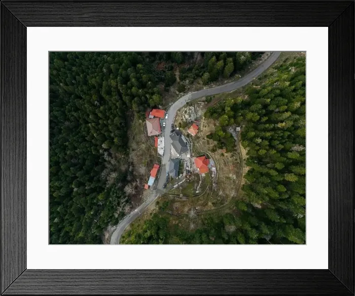 Framed Print : Lost In the Woods Framed Print : Lost In the Woods