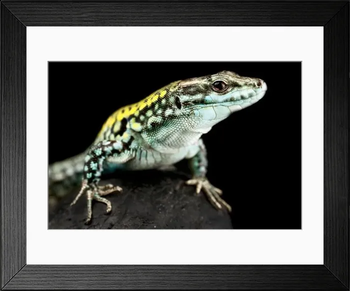 Framed Print : From extreme southern Italy Framed Print : From extreme southern Italy