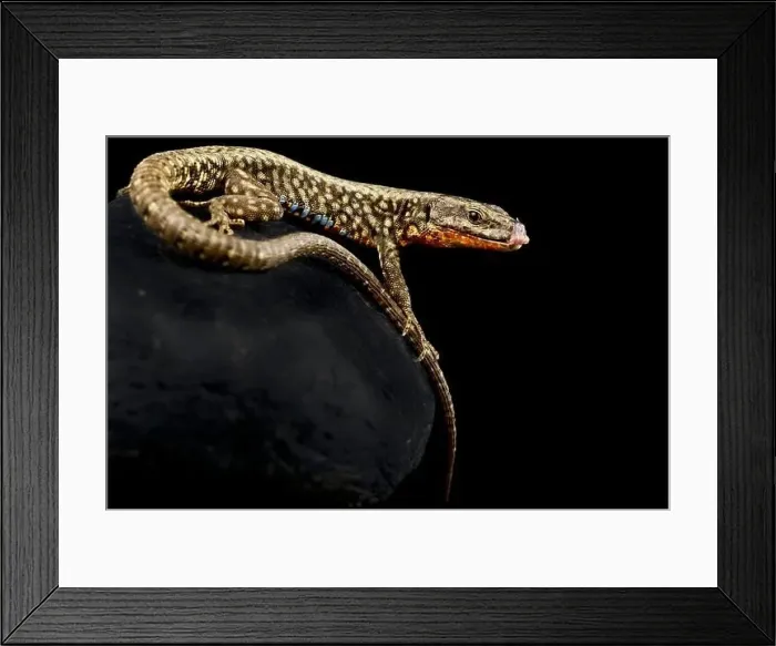 Framed Print : Locality Venice - Italy Framed Print : Locality Venice - Italy