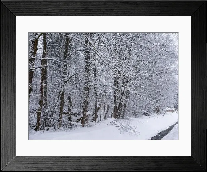 Framed Print : Snowy forest and river next to the road Framed Print : Snowy forest and river next to the road