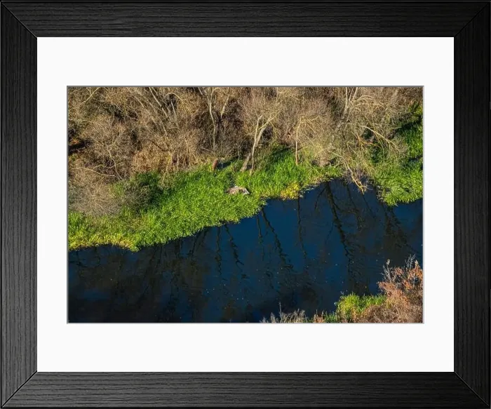 Framed Print : Aerial view of the river in the wild during the fall season Framed Print : Aerial view of the river in the wild during the fall season