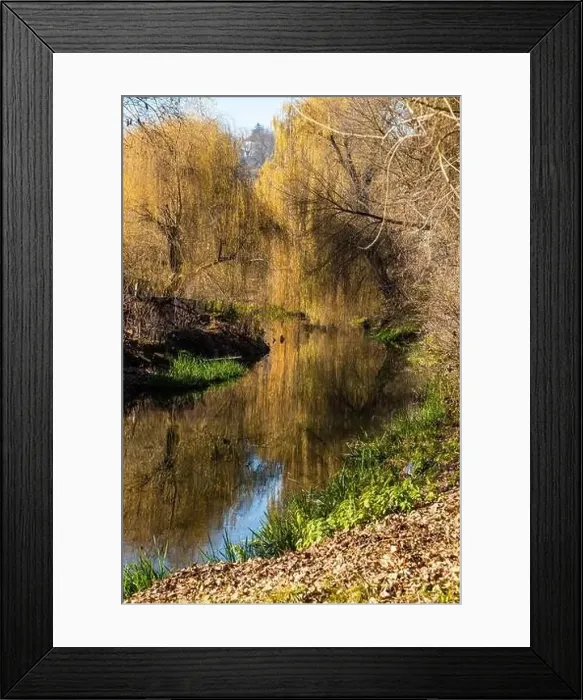 Framed Print : Aerial view of the river in the wild during the fall season Framed Print : Aerial view of the river in the wild during the fall season