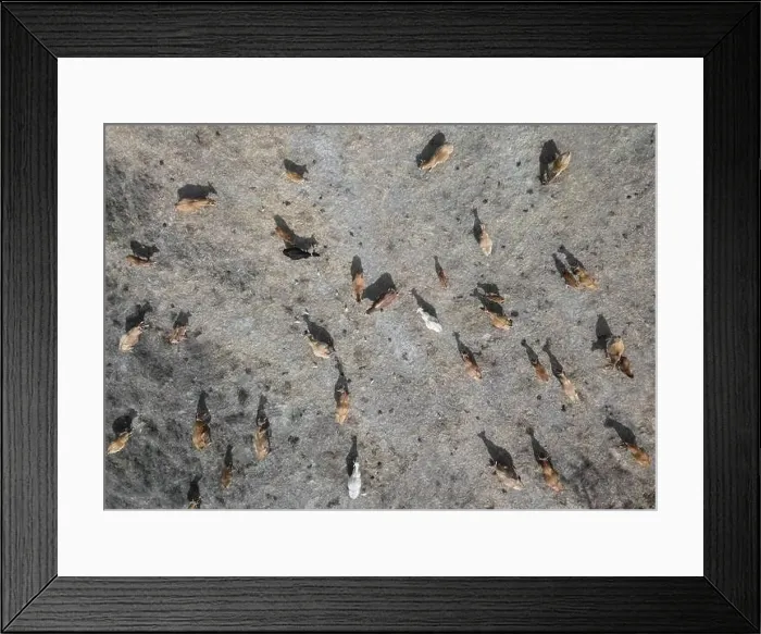 Framed Print : Hong Kong Aerial Photo Framed Print : Hong Kong Aerial Photo