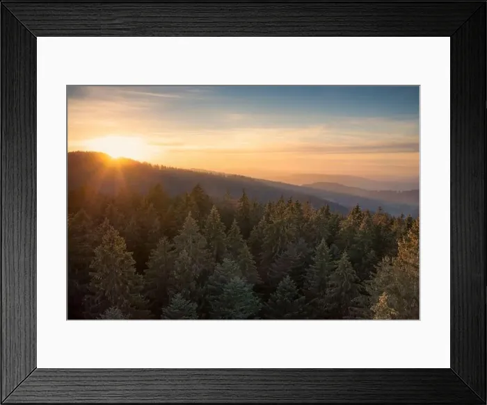Framed Print : Sunset over switzerland with pine forest Framed Print : Sunset over switzerland with pine forest