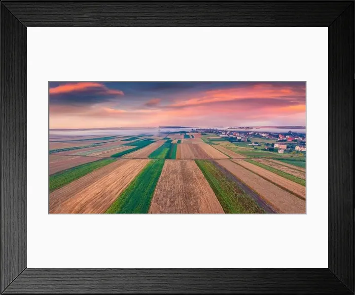 Framed Print : Beautiful rural scenery. Aerial summer view from flying drone of fields of wheat Framed Print : Beautiful rural scenery. Aerial summer view from flying drone of fields of wheat