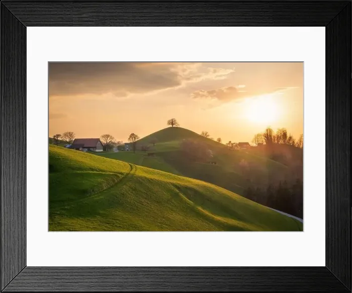 Framed Print : A farm in a hilly landscape with a tree on it Framed Print : A farm in a hilly landscape with a tree on it