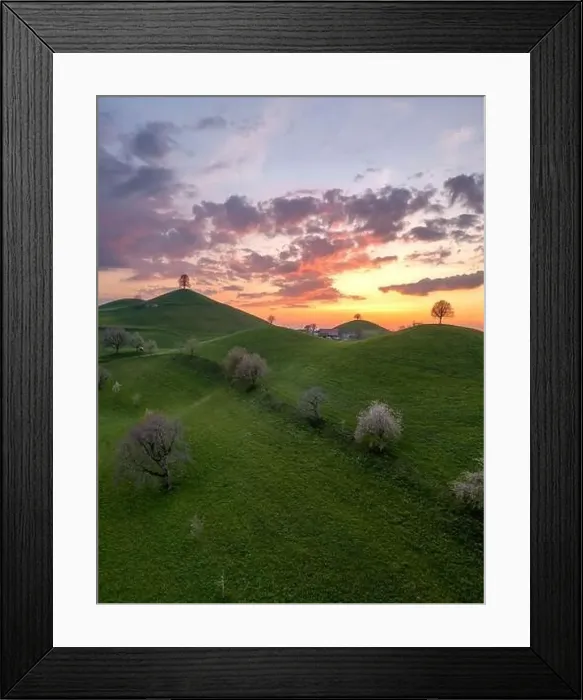 Framed Print : Hill landscape in switzerland during sunset, on each hill there is a tree Framed Print : Hill landscape in switzerland during sunset, on each hill there is a tree
