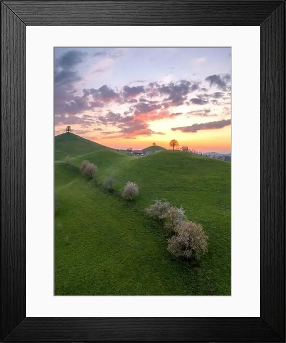 Framed Print : Hill landscape in switzerland during sunset, on each hill there is a tree