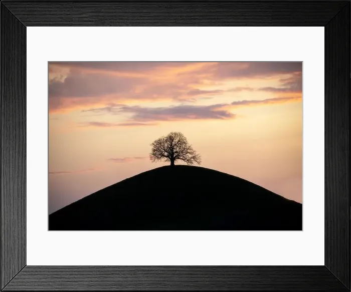 Framed Print : A silhouette of a tree on a hill, under a purple sky Framed Print : A silhouette of a tree on a hill, under a purple sky