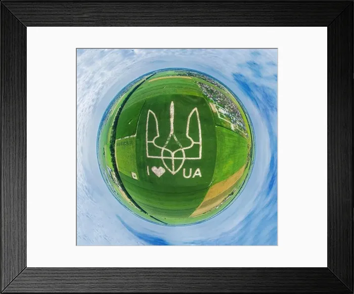 Framed Print : Giant symbol of the country of Ukraine is a trident created by corn sprouts in a corn field