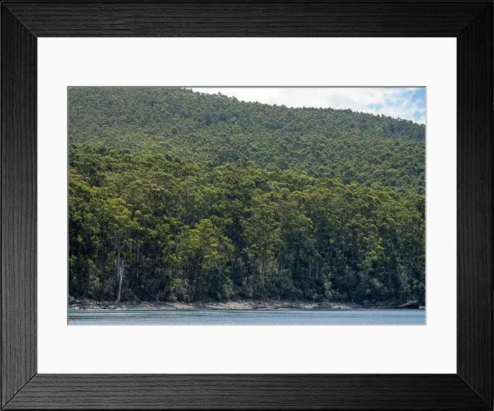 Framed Print : farm surrounded by over a plantation of trees, in a forestry farm, in the bush in the mountains in australia Framed Print : farm surrounded by over a plantation of trees, in a forestry farm, in the bush in the mountains in australia