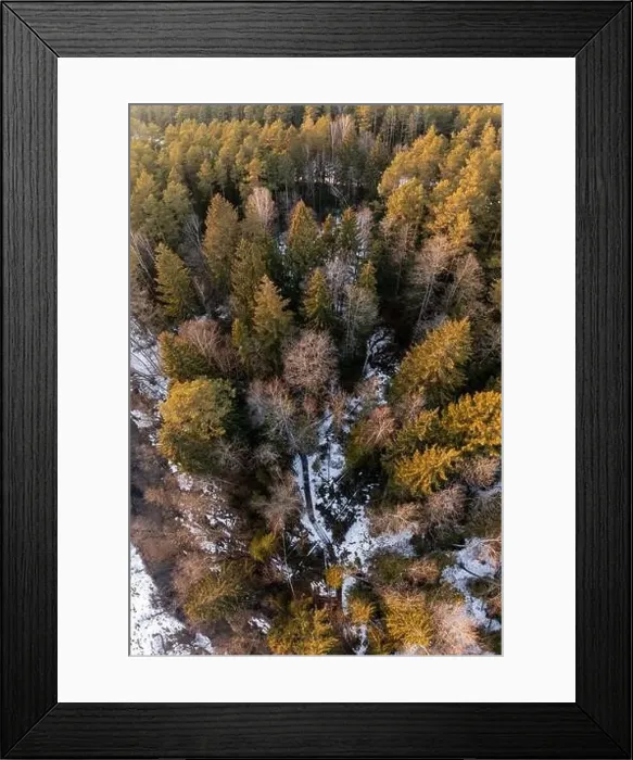 Framed Print : Aerial view from drone of snowy pines in Europe Framed Print : Aerial view from drone of snowy pines in Europe
