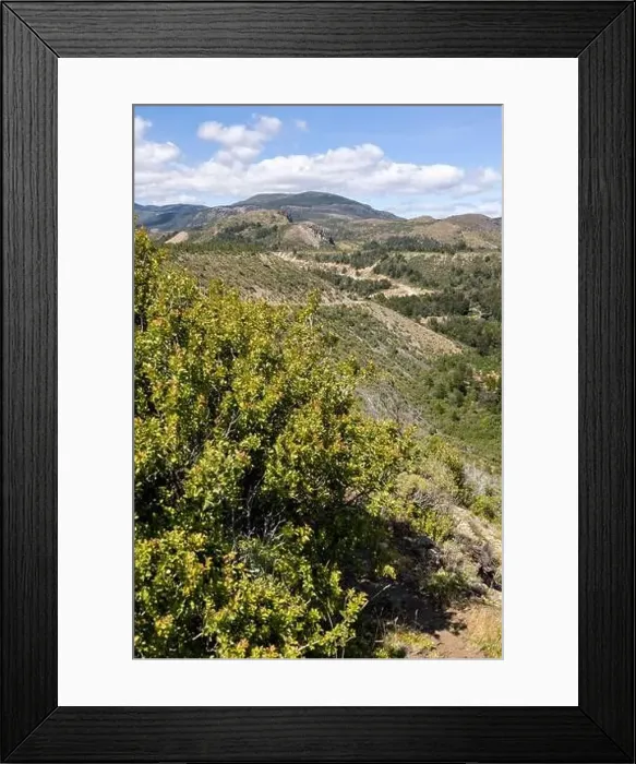 Framed Print : Turquoise creek flowing to the beautiful Lago General Carrera in southern Chile - Traveling the Carretera Austral Framed Print : Turquoise creek flowing to the beautiful Lago General Carrera in southern Chile - Traveling the Carretera Austral