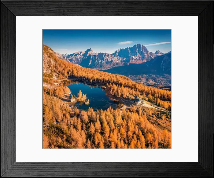 Framed Print : View from flying drone of popular tourist destination - Federa lake among red larch trees Framed Print : View from flying drone of popular tourist destination - Federa lake among red larch trees