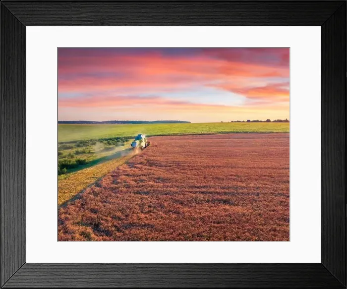 Framed Print : Combine harvester on the field of wheat Framed Print : Combine harvester on the field of wheat