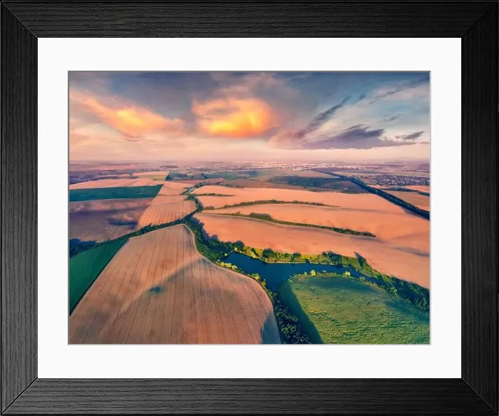 Framed Print : Astonishing summer view from flying drone of river in the shape of tree among the field of wheat Framed Print : Astonishing summer view from flying drone of river in the shape of tree among the field of wheat