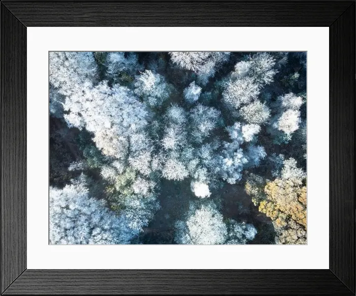 Framed Print : Drone top down view of a winter forest setting. Notice the heavy frost on the trees Framed Print : Drone top down view of a winter forest setting. Notice the heavy frost on the trees