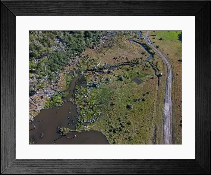 Framed Print : Aerial view of a beaver habitat in Reserva Lago Yeguin on the island Tierra del Fuego, Argentina, South America Framed Print : Aerial view of a beaver habitat in Reserva Lago Yeguin on the island Tierra del Fuego, Argentina, South America