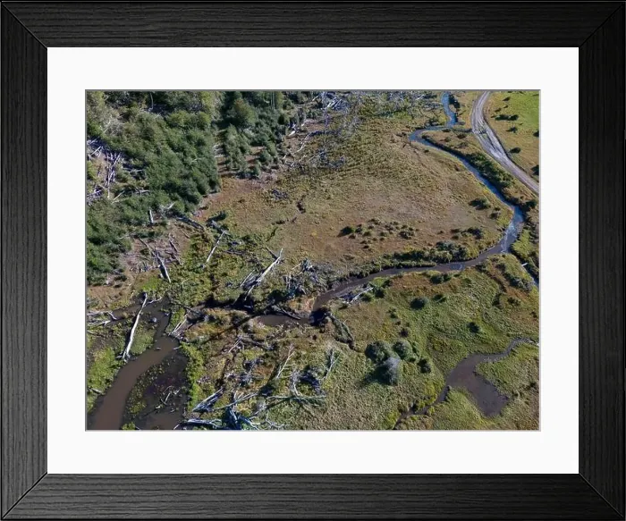 Framed Print : Aerial view of a beaver habitat in Reserva Lago Yeguin on the island Tierra del Fuego, Argentina, South America Framed Print : Aerial view of a beaver habitat in Reserva Lago Yeguin on the island Tierra del Fuego, Argentina, South America