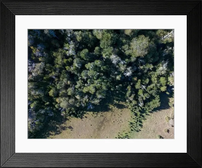 Framed Print : Aerial view of a beaver habitat in Reserva Lago Yeguin on the island Tierra del Fuego, Argentina, South America Framed Print : Aerial view of a beaver habitat in Reserva Lago Yeguin on the island Tierra del Fuego, Argentina, South America