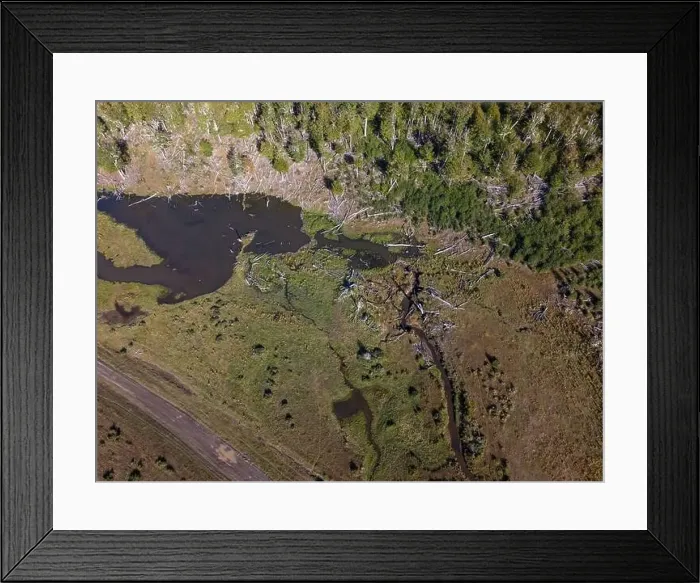 Framed Print : Aerial view of a beaver habitat in Reserva Lago Yeguin on the island Tierra del Fuego, Argentina, South America Framed Print : Aerial view of a beaver habitat in Reserva Lago Yeguin on the island Tierra del Fuego, Argentina, South America