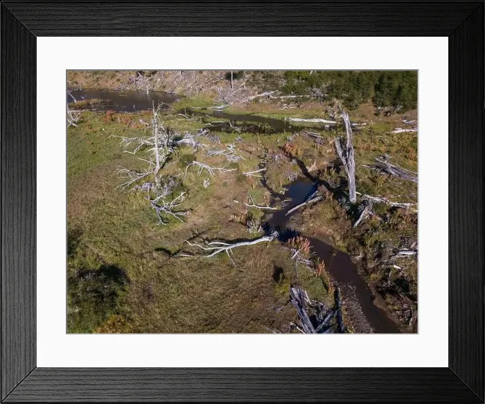 Framed Print : Aerial view of a beaver habitat in Reserva Lago Yeguin on the island Tierra del Fuego, Argentina, South America Framed Print : Aerial view of a beaver habitat in Reserva Lago Yeguin on the island Tierra del Fuego, Argentina, South America