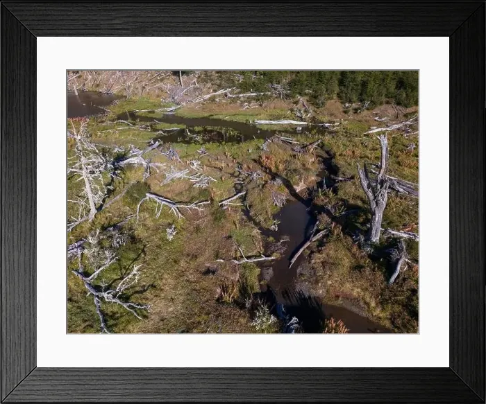 Framed Print : Aerial view of a beaver habitat in Reserva Lago Yeguin on the island Tierra del Fuego, Argentina, South America Framed Print : Aerial view of a beaver habitat in Reserva Lago Yeguin on the island Tierra del Fuego, Argentina, South America