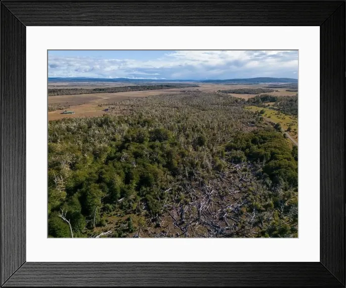 Framed Print : Aerial view of a beaver habitat in Reserva Lago Yeguin on the island Tierra del Fuego, Argentina, South America