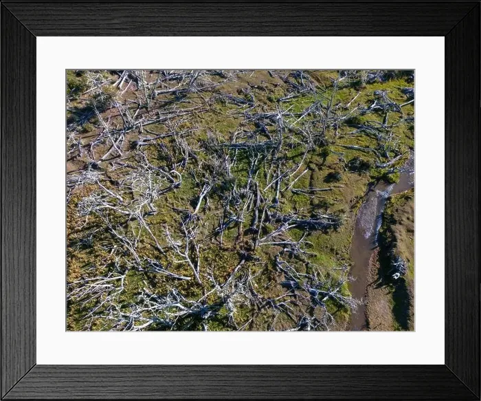 Framed Print : Aerial view of a beaver habitat in Reserva Lago Yeguin on the island Tierra del Fuego, Argentina, South America Framed Print : Aerial view of a beaver habitat in Reserva Lago Yeguin on the island Tierra del Fuego, Argentina, South America