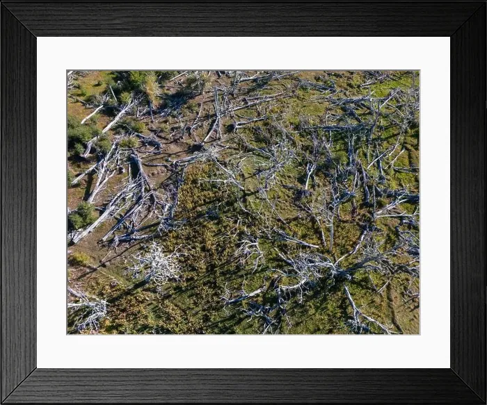 Framed Print : Aerial view of a beaver habitat in Reserva Lago Yeguin on the island Tierra del Fuego, Argentina, South America Framed Print : Aerial view of a beaver habitat in Reserva Lago Yeguin on the island Tierra del Fuego, Argentina, South America