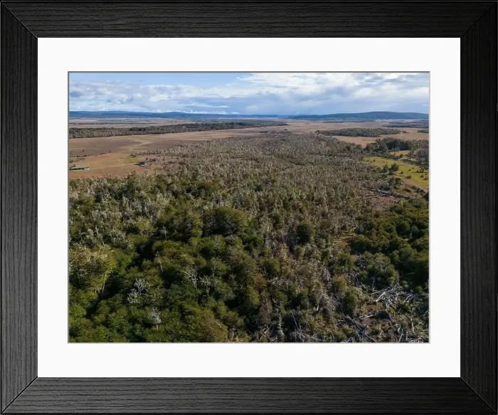 Framed Print : Aerial view of a beaver habitat in Reserva Lago Yeguin on the island Tierra del Fuego, Argentina, South America Framed Print : Aerial view of a beaver habitat in Reserva Lago Yeguin on the island Tierra del Fuego, Argentina, South America