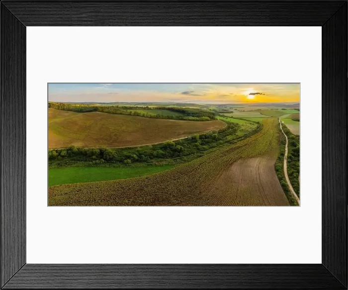 Framed Print : Sunflowers fields. Aerial view of the yellow flowers on summer Framed Print : Sunflowers fields. Aerial view of the yellow flowers on summer
