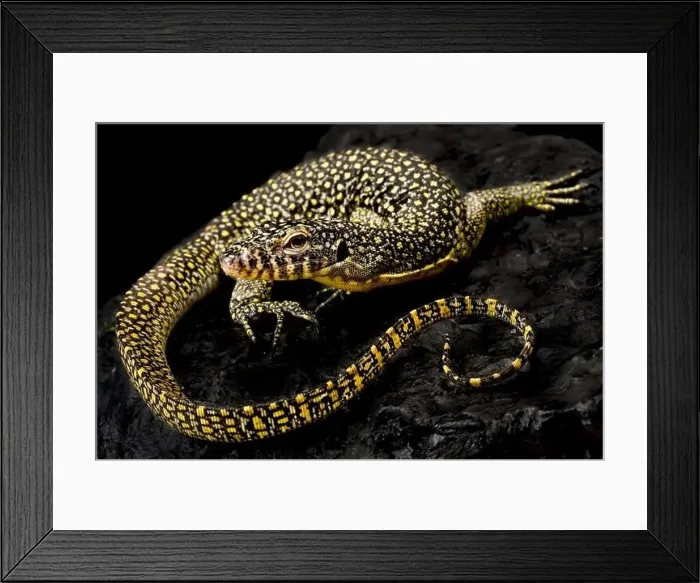 Framed Print : Merauke locality Framed Print : Merauke locality