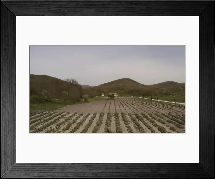 Framed Print : View of the green fields. Action Framed Print : View of the green fields. Action