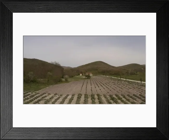 Framed Print : View of the green fields. Action Framed Print : View of the green fields. Action