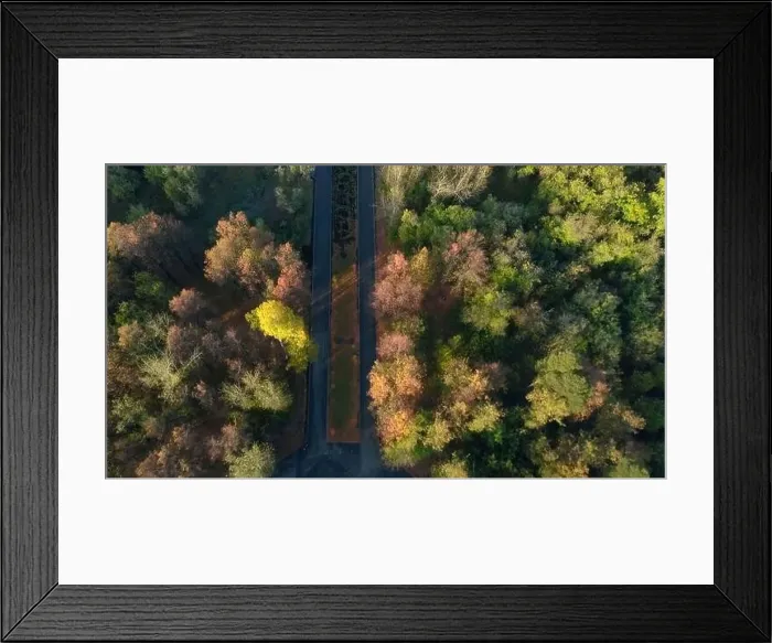 Framed Print : Top view of roads in autumn forest. Clip. Well-maintained paved roads in autumn forest. Road system in forest estate Framed Print : Top view of roads in autumn forest. Clip. Well-maintained paved roads in autumn forest. Road system in forest estate