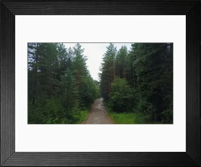 Framed Print : Top view of dirt road in green coniferous forest Framed Print : Top view of dirt road in green coniferous forest