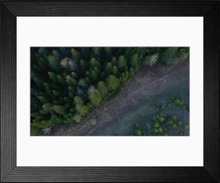 Framed Print : Top view of field and green coniferous forest Framed Print : Top view of field and green coniferous forest