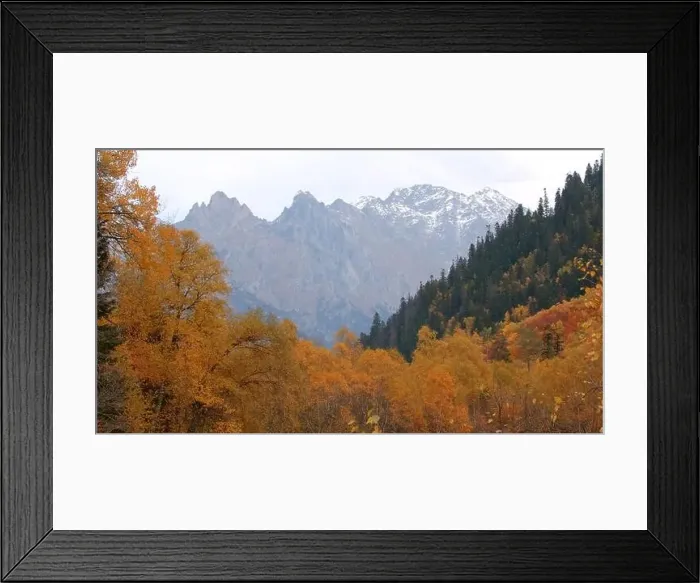 Framed Print : Beautiful landscape with autumn forest in mountain valley and peaks on horizon Framed Print : Beautiful landscape with autumn forest in mountain valley and peaks on horizon