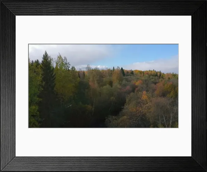 Framed Print : Top view of treetops of dense autumn forest Framed Print : Top view of treetops of dense autumn forest