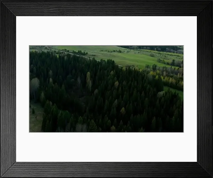 Framed Print : Green fields with summer trees Framed Print : Green fields with summer trees
